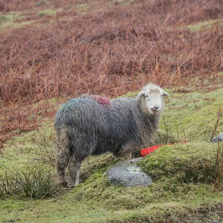 Hazel Nook 21 Ullswater Penrith